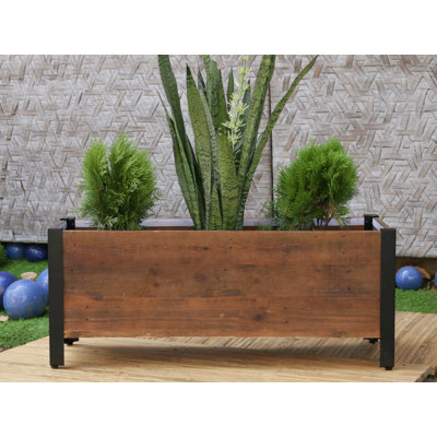 Planter Boxes You'll Love | Wayfair.ca